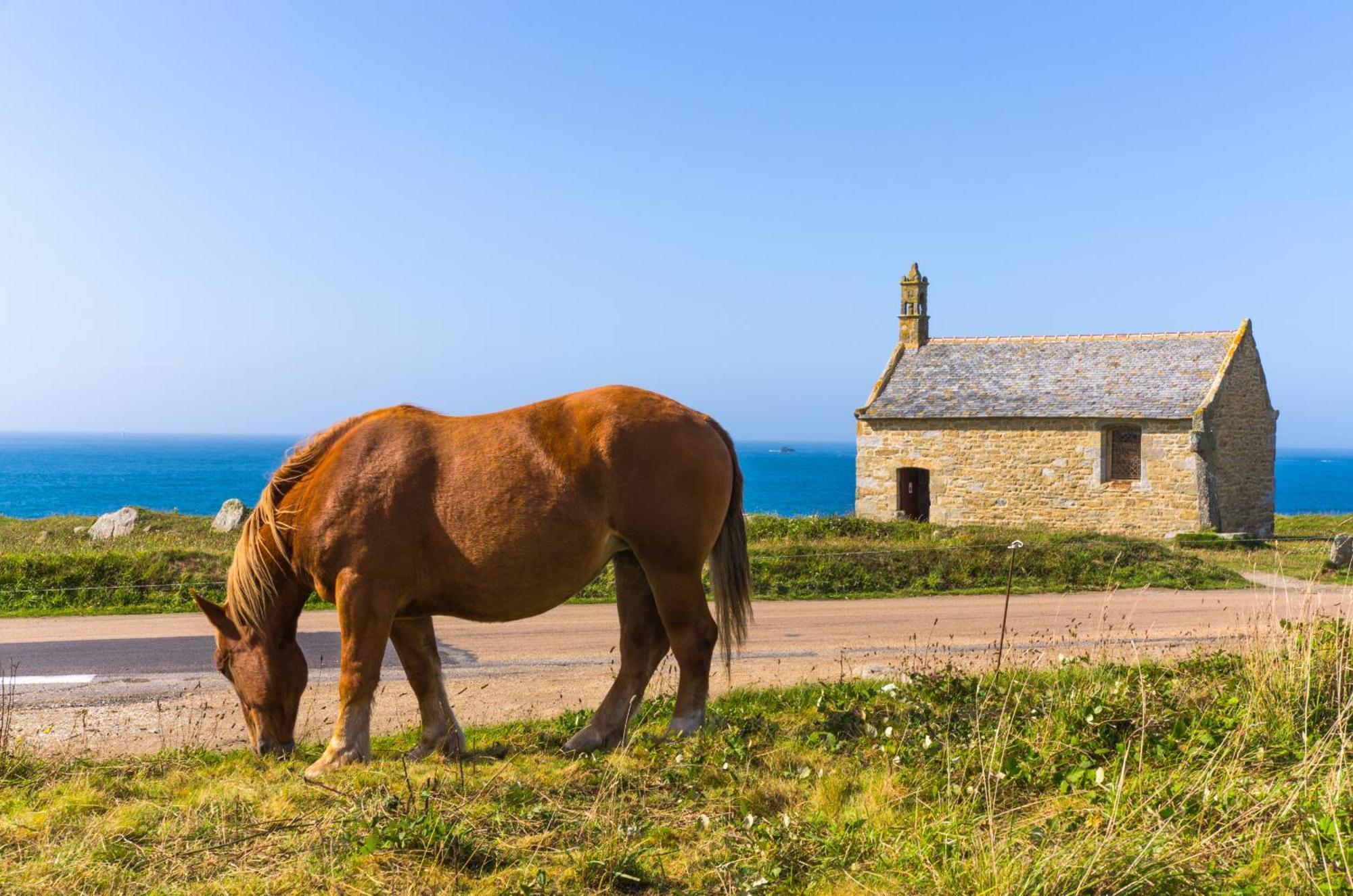 Ty Raok - Jolie Maison A Lilia A 200M De La Mer Villa Plouguerneau Kültér fotó